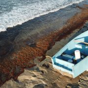 How does boat removal work for abandoned vessels?