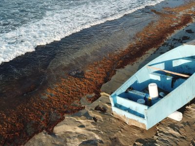 How does boat removal work for abandoned vessels?