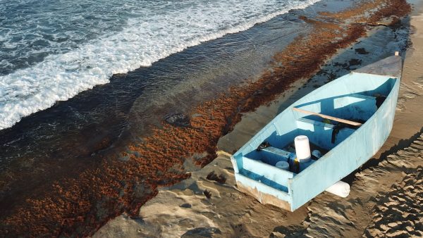 How does boat removal work for abandoned vessels?